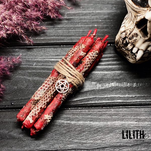 Set of 5 Red Ritual Intention Beeswax Candles with Snake Skin, Herbs, Oils