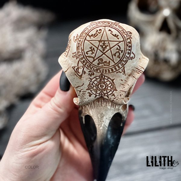 Raven Gypsum Skull with Occult Symbols – Clear Varnish Finish