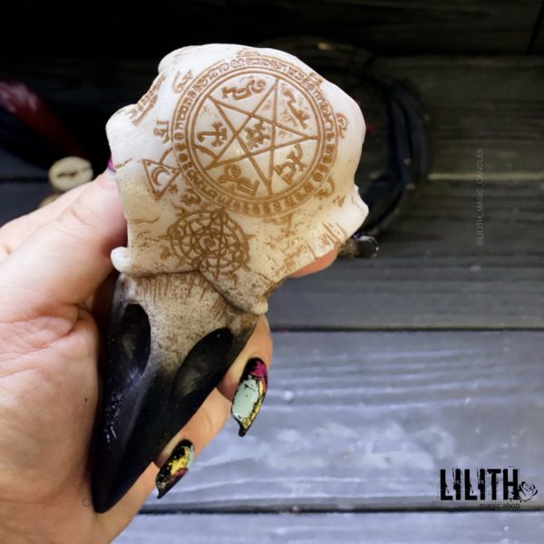 Raven Resin Skull with Occult Symbols – Clear Varnish Finish