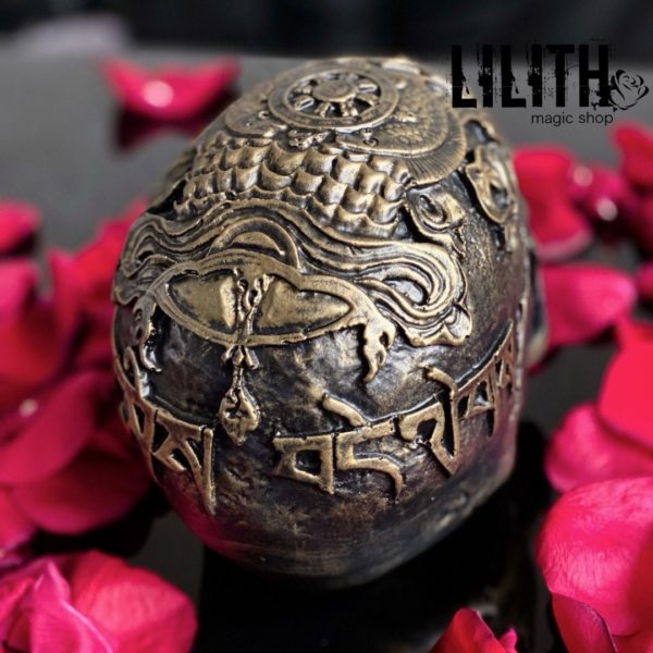 Tibetan Gypsum Skull – Clear Varnish Finish