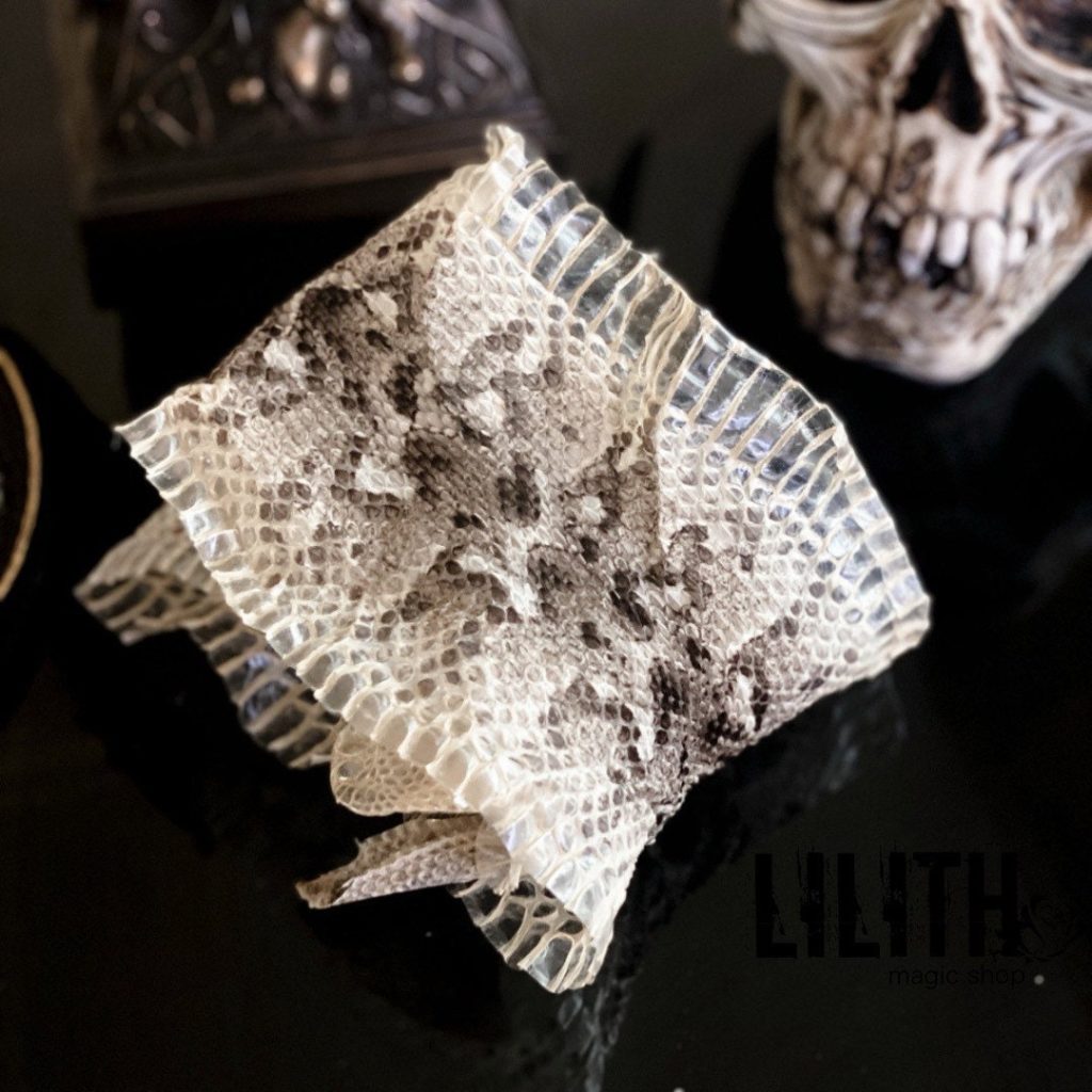 Viper Snake Skin Snakeskin of Puff Adder for Rituals, Spells, Amulets