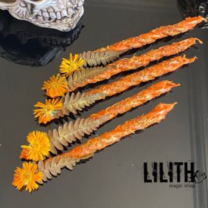Set of 5 Money/Luck Spell Orange Beeswax Triple Twisted Intention Candles with Herbs and a dōTERRA essential oil